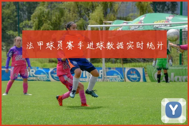 法甲球员赛季进球数据实时统计